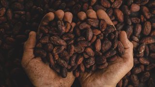 pablo-merchan-montes-SCbq6uKCyMY-unsplash